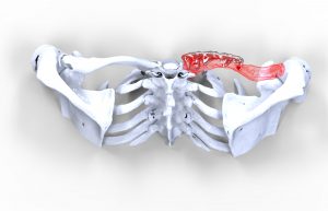 convert dicom file to 3d model | Medimodel
